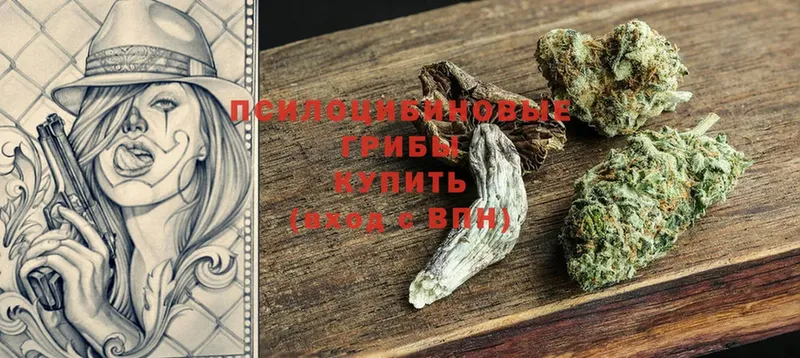 Псилоцибиновые грибы Psilocybine cubensis  Верхняя Салда 